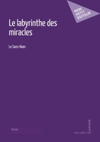 Le labyrinthe des miracles (French Edition) 2342368372 Book Cover