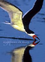 Rhapsody in Blue (A Celebration of North American Waterbirds) 0977805514 Book Cover