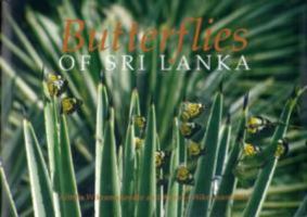 Butterflies of Sri Lanka 955998280X Book Cover