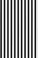Publish Her Journal (Stripes) 1962457435 Book Cover