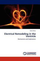 Electrical Remodeling in the Ventricle 3845438576 Book Cover