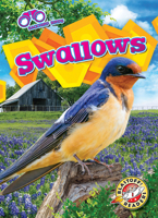 Swallows 1644876930 Book Cover