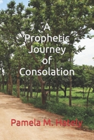 A Prophetic Journey of Consolation B0CMJBL5S3 Book Cover
