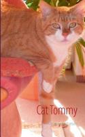 Cat Tommy: Kidnapping with results 3735722326 Book Cover