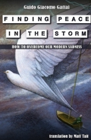 Finding Peace in the Storm: How to Overcome Our Modern Sadness B0BJ7Y257L Book Cover