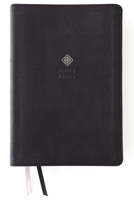 New International Version Men's Devotional Bible: Bonded Leather