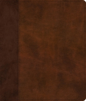 ESV Journaling Bible (Trutone, Brown/Tan, Timeless Design) B0FX3G95R5 Book Cover