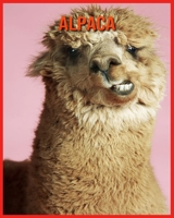 Alpaca: Immagini bellissime e fatti interessanti Libro per bambini sui Alpaca B08WTWVTWD Book Cover