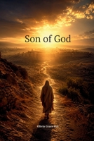 Son of God: Twelve Divine Treasures for the Narrow road 104927878X Book Cover