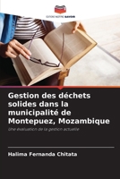 Gestion des déchets solides dans la municipalité de Montepuez, Mozambique (French Edition) 6206444279 Book Cover