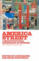 America Street: A Multicultural Anthology of Stories 0892551917 Book Cover