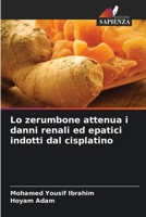 Lo zerumbone attenua i danni renali ed epatici indotti dal cisplatino (Italian Edition) 6208279844 Book Cover