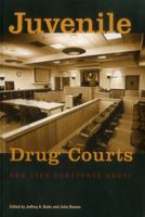 Juvenile Drug Courts And Teen Substance Abuse 087766725X Book Cover