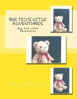 Big Ted's Little Adventures: Big Ted Little Adventures 1986125157 Book Cover