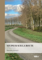 Stupeur sur la route 2342369042 Book Cover