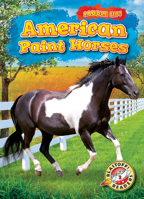 American Paint Horses 1644872315 Book Cover