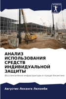 АНАЛИЗ ИСПОЛЬЗОВАНИЯ СРЕДСТВ ИНДИВИДУАЛ& 6204166395 Book Cover