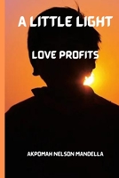A LITTLE LIGHT: LOVE PROFITS B0B9463FJL Book Cover
