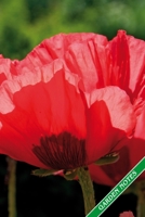 Garden Notes: Poppy blossom. Format A5, 120 pages, fine grey lined. Journal, diary, notebook and garden planner for everything that happens in the garden throughout the year. 1706225644 Book Cover