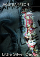 Little Silver Dagger 1291536825 Book Cover