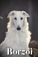 Borzoi: Dog breed overview and guide B0C9S8SFX5 Book Cover