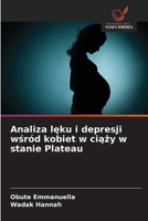 Analiza leku i depresji wsród kobiet w ciazy w stanie Plateau (Polish Edition) 6208829151 Book Cover
