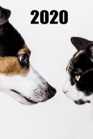 2020: Katzen Kalender f�r das Jahr 2020 1697511775 Book Cover