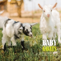 Baby Goats Calendar 2021: 16 Month Calendar B08KWKFDWK Book Cover