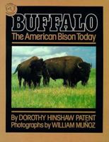 Buffalo, the American Bison Today 0395552788 Book Cover
