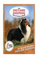 The Shetland Sheepdog Fact and Picture Book: Fun Facts for Kids about Shetland Sheepdog 1975797140 Book Cover