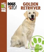 Golden Retriever 0793837219 Book Cover