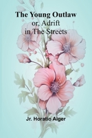 The Young Outlaw; or, Adrift in the Streets 9362996057 Book Cover