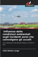 Influenza delle condizioni ambientali sugli incidenti aerei associati (Italian Edition) 6207872703 Book Cover