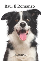 Bau: Il Romanzo B0BZFJMJG6 Book Cover