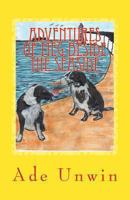 Adventures of Meg Beside the Seaside 1490595988 Book Cover