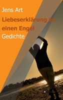Liebeserkl�rung an einen Engel: Gedichte 3347380258 Book Cover