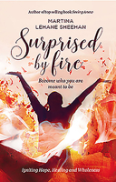 Surprised by Fire: A Transformative Journey Towards Wholeness 1782188878 Book Cover