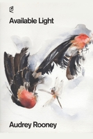 Available Light 193662852X Book Cover