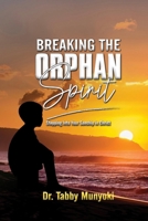 BREAKING THE ORPHAN SPIRIT: STEPPING INTO YOUR SONSHIP IN CHRIST B0G6CLDQH3 Book Cover