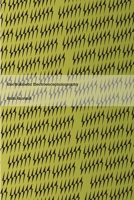 Electrokinetic Electroencephalography 1778901522 Book Cover