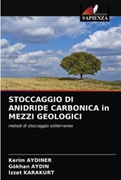 STOCCAGGIO DI ANIDRIDE CARBONICA in MEZZI GEOLOGICI: metodi di stoccaggio sotterraneo 6202819502 Book Cover