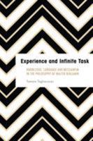 Experience and Infinite Task 1786600420 Book Cover