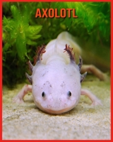 Axolotl: Erfahre mehr über Axolotl und freue dich an den farbenfrohen Bildern B08WSC59K4 Book Cover