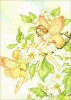 Fairies Notebook 0486290840 Book Cover