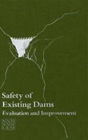 Safety of Existing Dams: Evaluation and Improvement 030903387X Book Cover