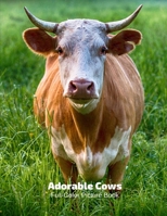 Adorable Cows Full-Color Picture Book: Cows Picture Book for Children, Seniors and Alzheimer's Patients- Aging Parents- Mammal Calf 1674100949 Book Cover
