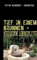 Tief in einem Brunnen -: verschiedene Lebenssplitter 3842341717 Book Cover