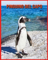 Pinguino del Capo: Immagini incredibili e fatti divertenti sui Pinguino del Capo B08XL9QHMZ Book Cover