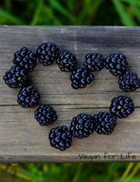 Vegan for Life : Composition/Notebook, Vegan, Plant-Based, Whole Foods, Vegan Grocery or Recipe List, 120 Pages, 7. 44 X 9. 69 1725932571 Book Cover