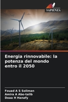 Energia rinnovabile: la potenza del mondo entro il 2050 620593809X Book Cover